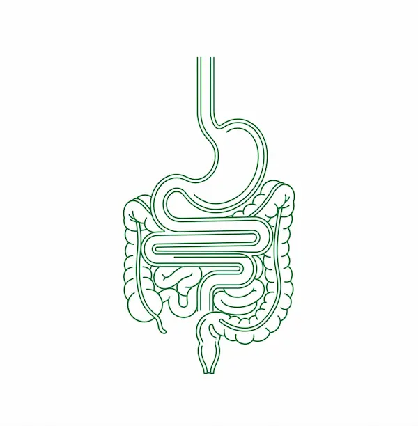 Gastroenterología