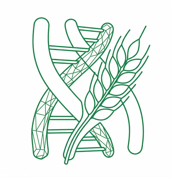 Nutrición y Dietética